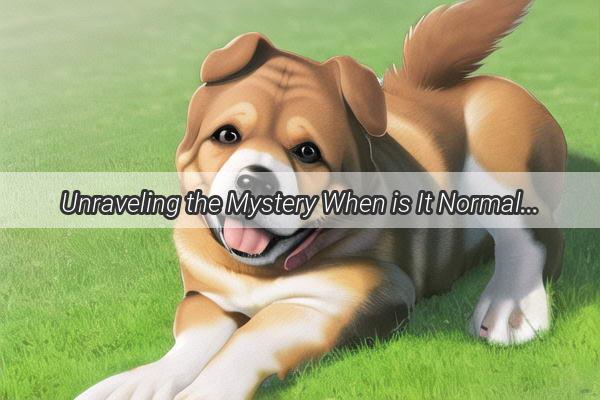 Unraveling the Mystery When is It Normal for a Teddy Bear Dog to Blush